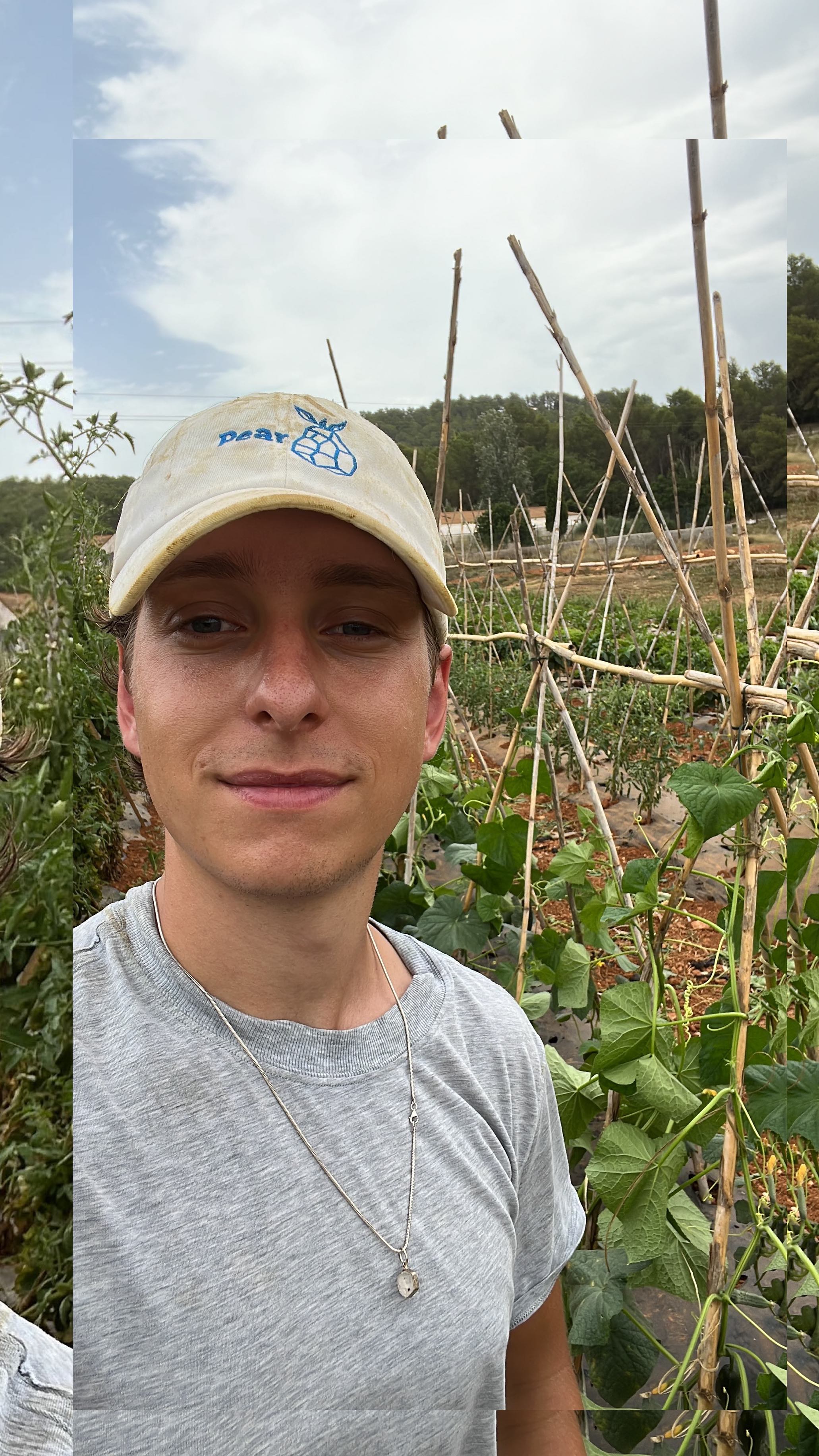 my_cucumbers